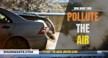 Cars Polluting Our Air: The Devastating Numbers