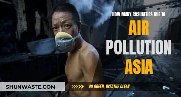Air Pollution's Deadly Toll in Asia