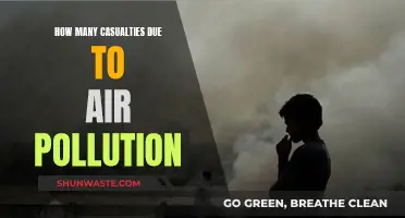 Air Pollution's Human Cost: Counting Casualties