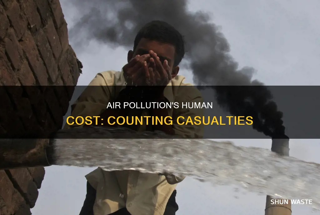how many casualties due to air pollution