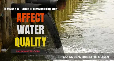 Water Quality: Understanding Common Pollutant Categories and Their Impact