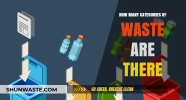 Exploring the Diverse Categories of Waste and Their Classification