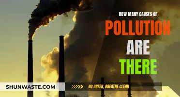 Unveiling the Complex Web: Exploring Various Pollution Causes