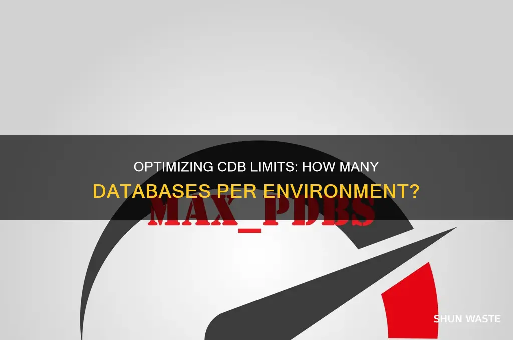 how many cds databases can you have per environment