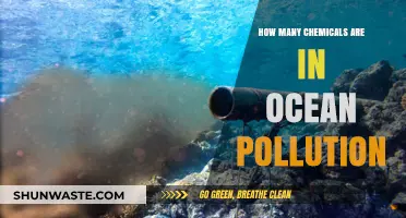 Ocean Pollution: Counting the Toxic Chemicals