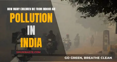 Deadly Indoor Air: India's Children in Danger