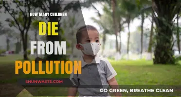 Pollution's Deadly Toll on Children's Health