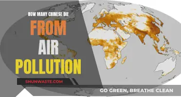Deadly Air: Counting China's Pollution Victims