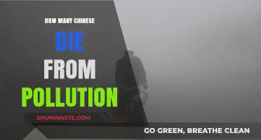 Deadly Pollution: Chinese Deaths from Poor Air Quality