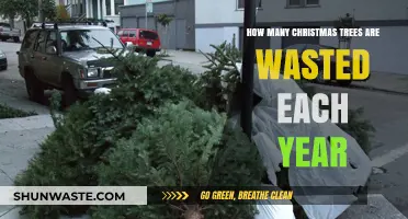 The Shocking Annual Waste of Christmas Trees: A Holiday Dilemma