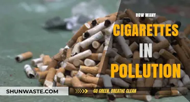 Cigarettes: A Major Contributor to Air Pollution