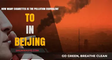 Beijing's Air: Smoking How Many Cigarettes?
