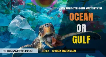 Ocean Pollution Crisis: Cities Dumping Waste into Seas and Gulfs