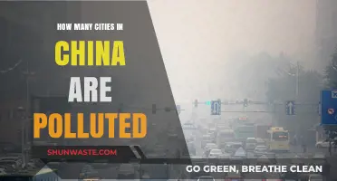 Polluted Cities in China: A Comprehensive Overview