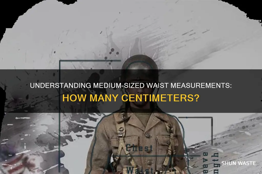 how many cm is a medium sized waste