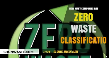 Exploring the Rise of Zero Waste Companies: A Global Classification
