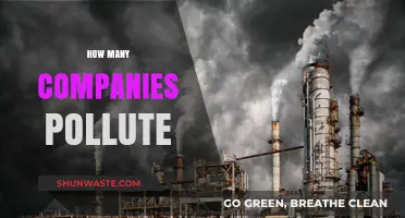 Industrial Polluters: Counting the Culprits