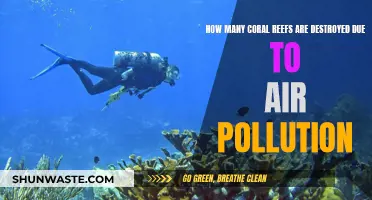 Air Pollution's Devastating Impact on Coral Reefs
