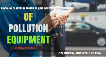 Pollution Equipment Inspections: How Many Georgia Counties Require Them?