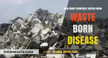 Global Waste Crisis: How Many Nations Battle Waste-Born Diseases?