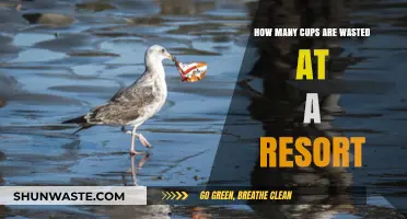 Resort Cup Waste: Uncovering the Environmental Impact of Disposable Cups