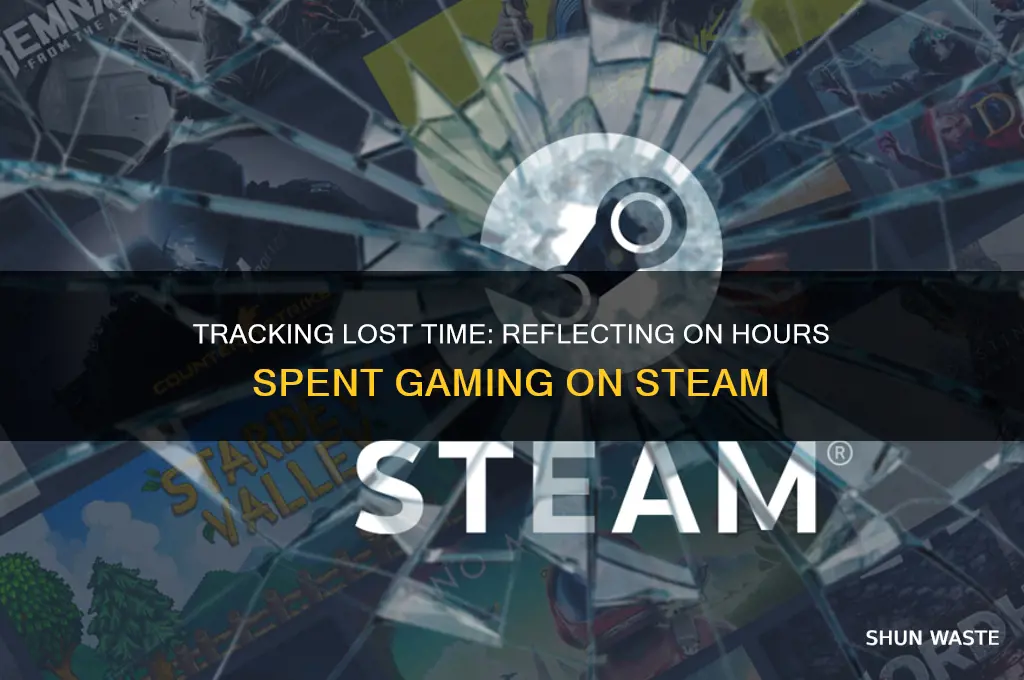 how many days did i waste on steam