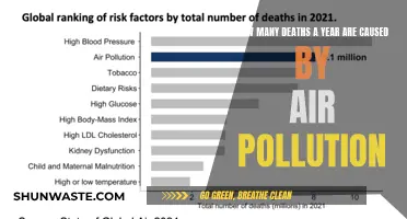 The Shocking Annual Toll: Air Pollution's Deadly Impact