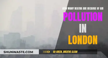 London's Air Pollution: A Deadly Crisis