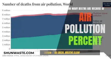 Air Pollution: A Silent Killer's Percentage