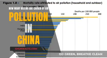 Breathing in Poison: China's Air Pollution Crisis and Its Deadly Toll