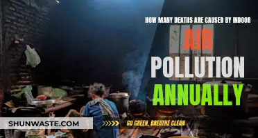 The Hidden Killer: Annual Death Toll from Indoor Air Pollution