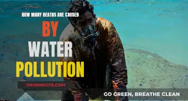 The Devastating Impact: Unveiling Water Pollution's Deadly Toll