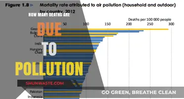 Pollution's Deadly Toll: Counting Fatalities
