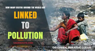 Pollution's Deadly Global Impact: Counting the Deaths