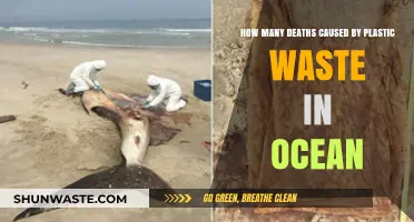Ocean Plastic Waste: Uncovering the Deadly Toll on Marine Life