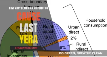 Air Pollution's Deadly Impact: Unveiling the Global Death Toll