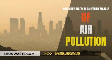Air Pollution's Deadly Toll in California
