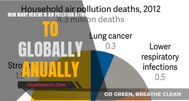 Air Pollution: A Global Killer?