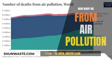 Air Pollution: A Silent Killer Affecting Millions