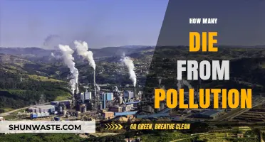 Pollution's Deadly Toll: Counting the Fatalities