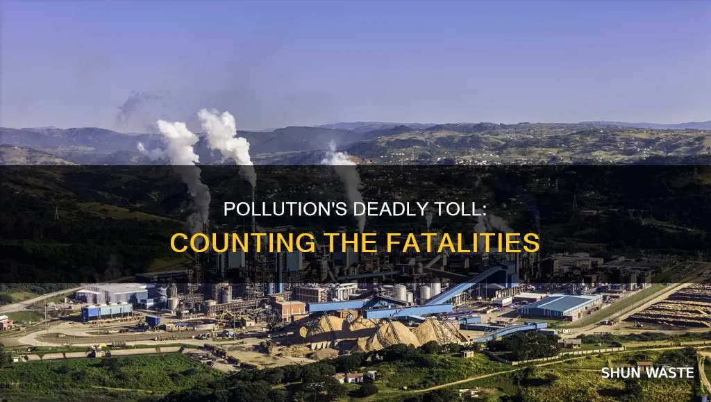 how many die from pollution