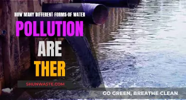 Unveiling the Many Faces of Water Pollution: A Comprehensive Guide