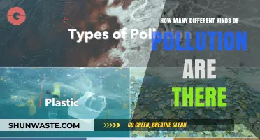 The Many Faces of Pollution: Understanding the Different Types