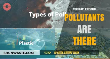 The Many Types of Pollutants and Their Harmful Effects
