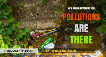 Soil Pollution: The Many Ways Our Earth Suffers