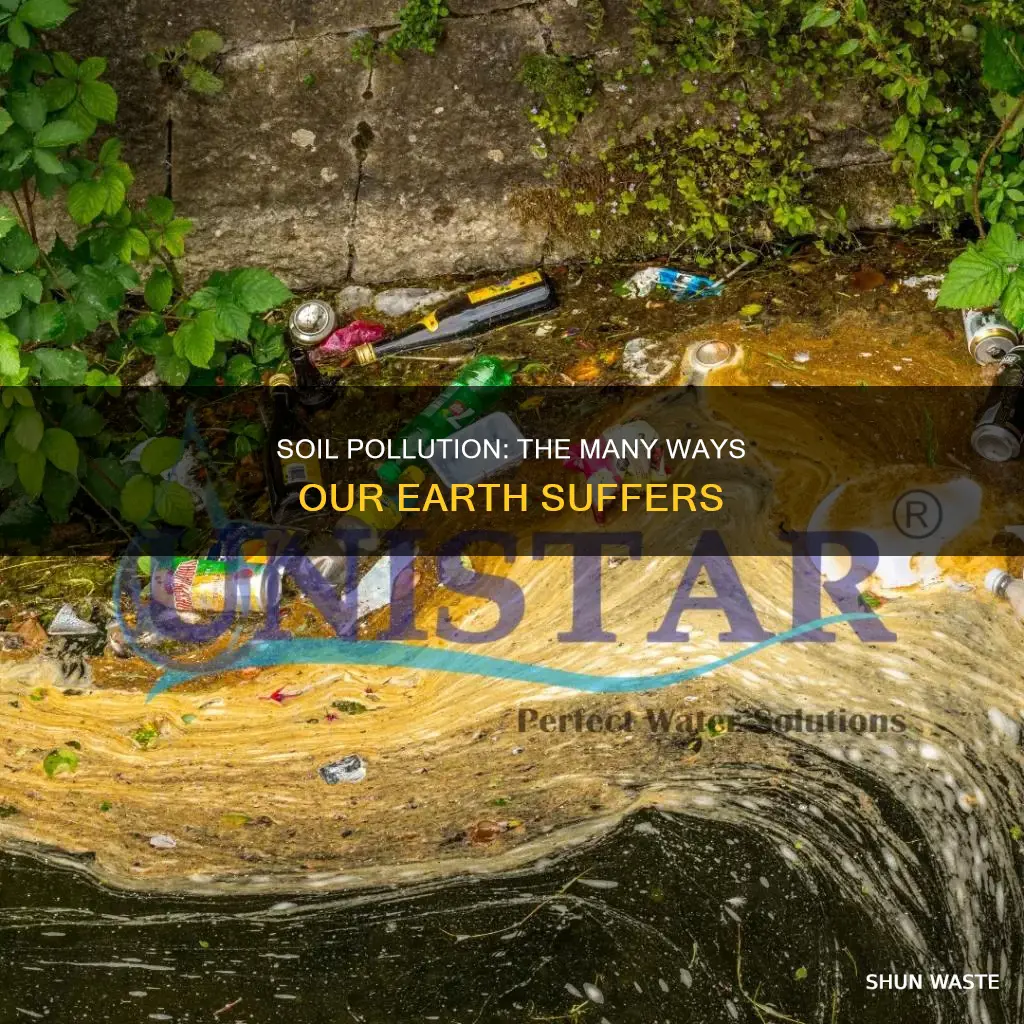 how many different soil pollutions are there