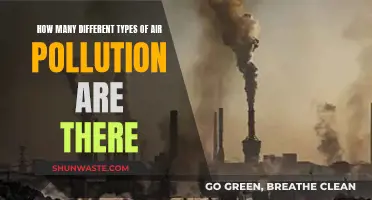 Air Pollution: Understanding the Different Types and Their Impact