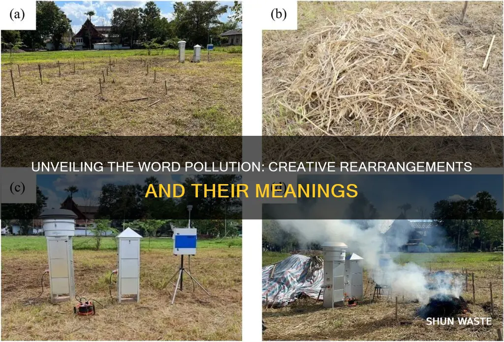 how many different ways can the word pollution be reareanged