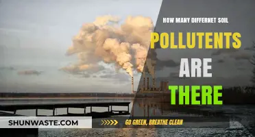 Soil Pollutants: Understanding the Many Threats to Our Earth