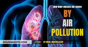 Air Pollution's Impact: Unveiling the Hidden Health Hazards